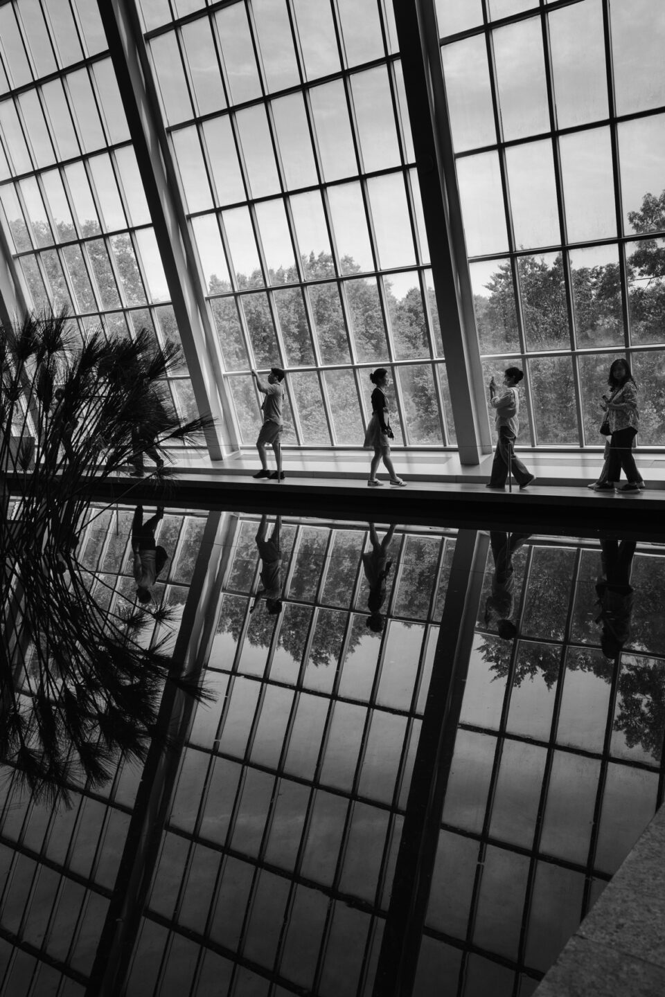 Street Photography — 2